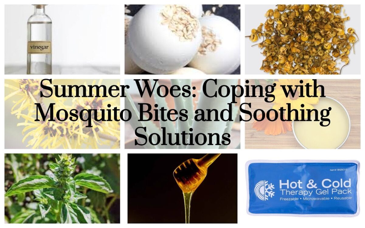 Summer Woes: Coping with Mosquito Bites and Soothing Solutions