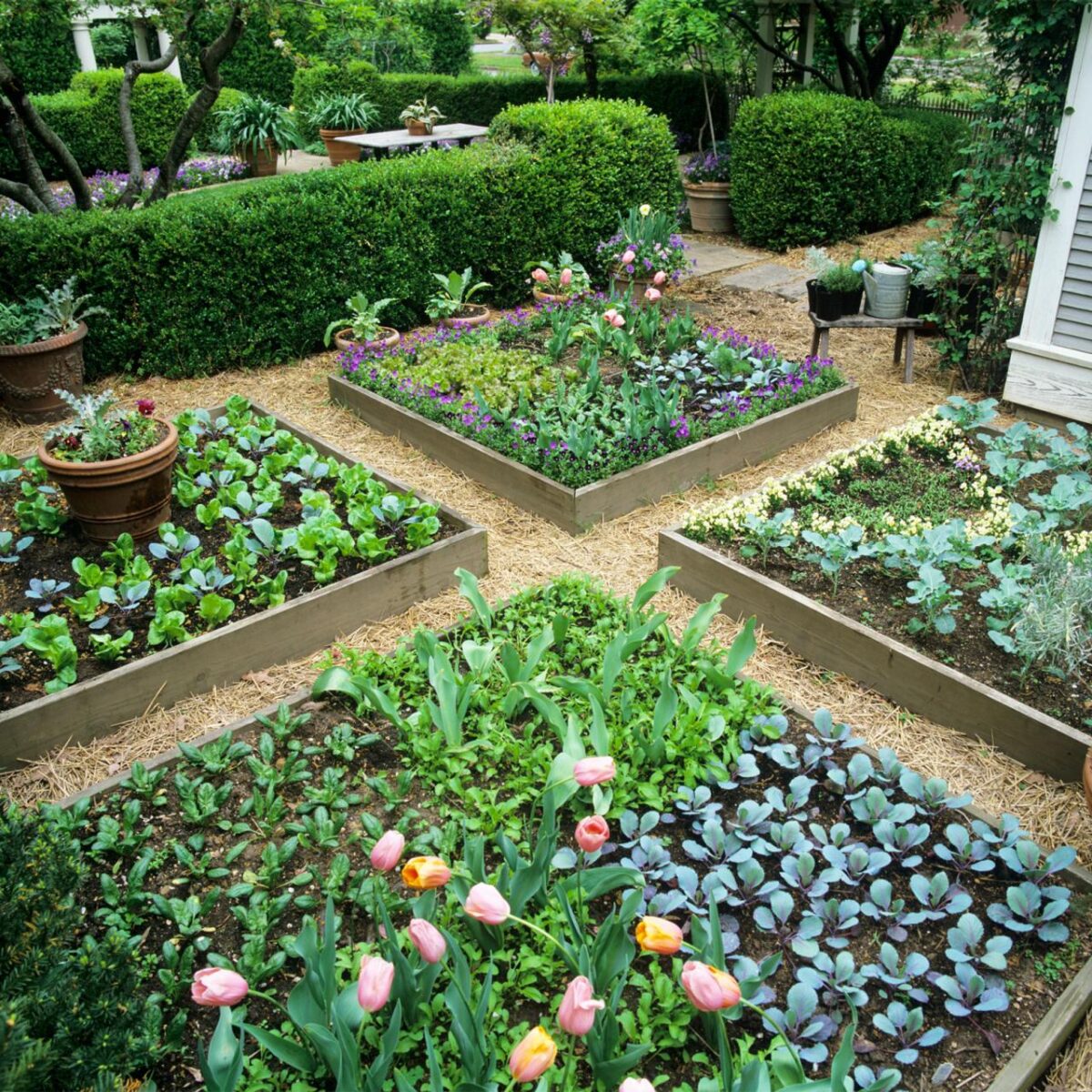 Raised Bed Vegetable Gardening for Beginners